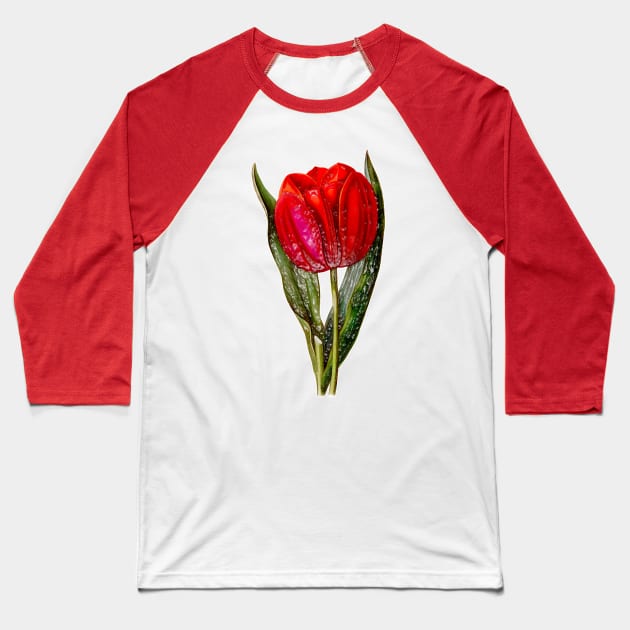 Red Tulip Viscountess Baseball T-Shirt by Marccelus